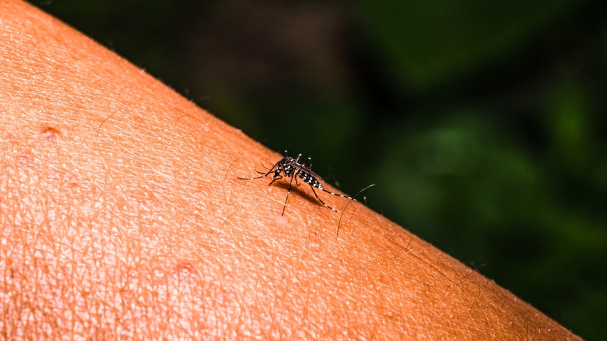 Phó Thủ tướng Trung Quốc kiểm tra công tác phòng chống dịch sốt Chikungunya